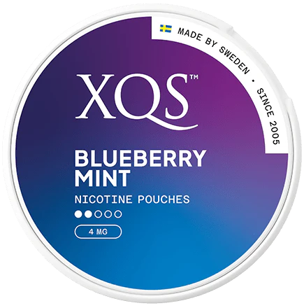 XQS Blueberry Mint Slim Normal